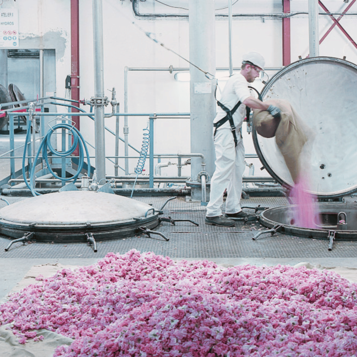 Jasmine Firmenich Partnership